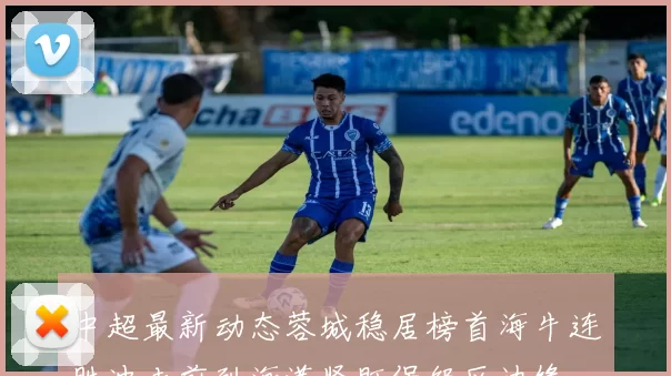 中超最新动态蓉城稳居榜首海牛连胜冲击前列海港紧盯保级区边缘